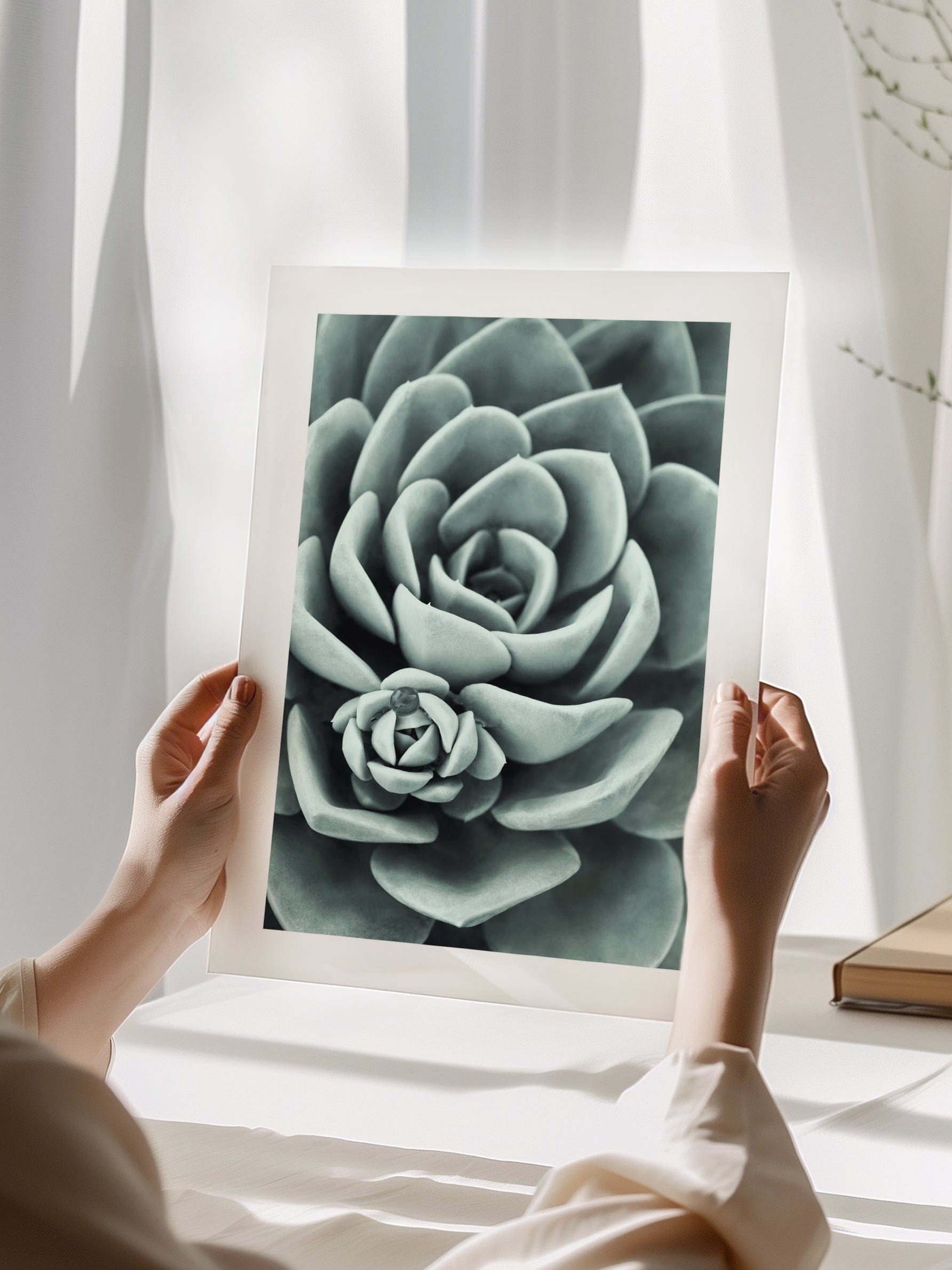 Mint Green Succulent Poster