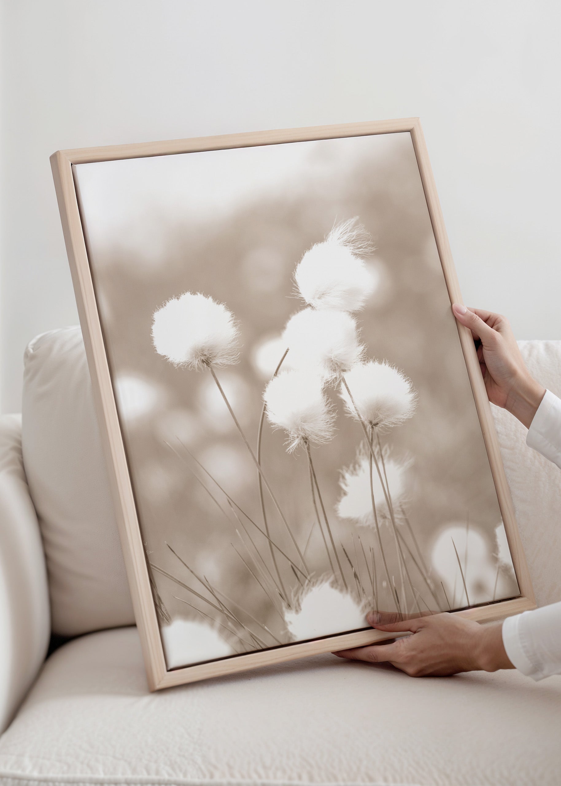 Cottongrass Canvas