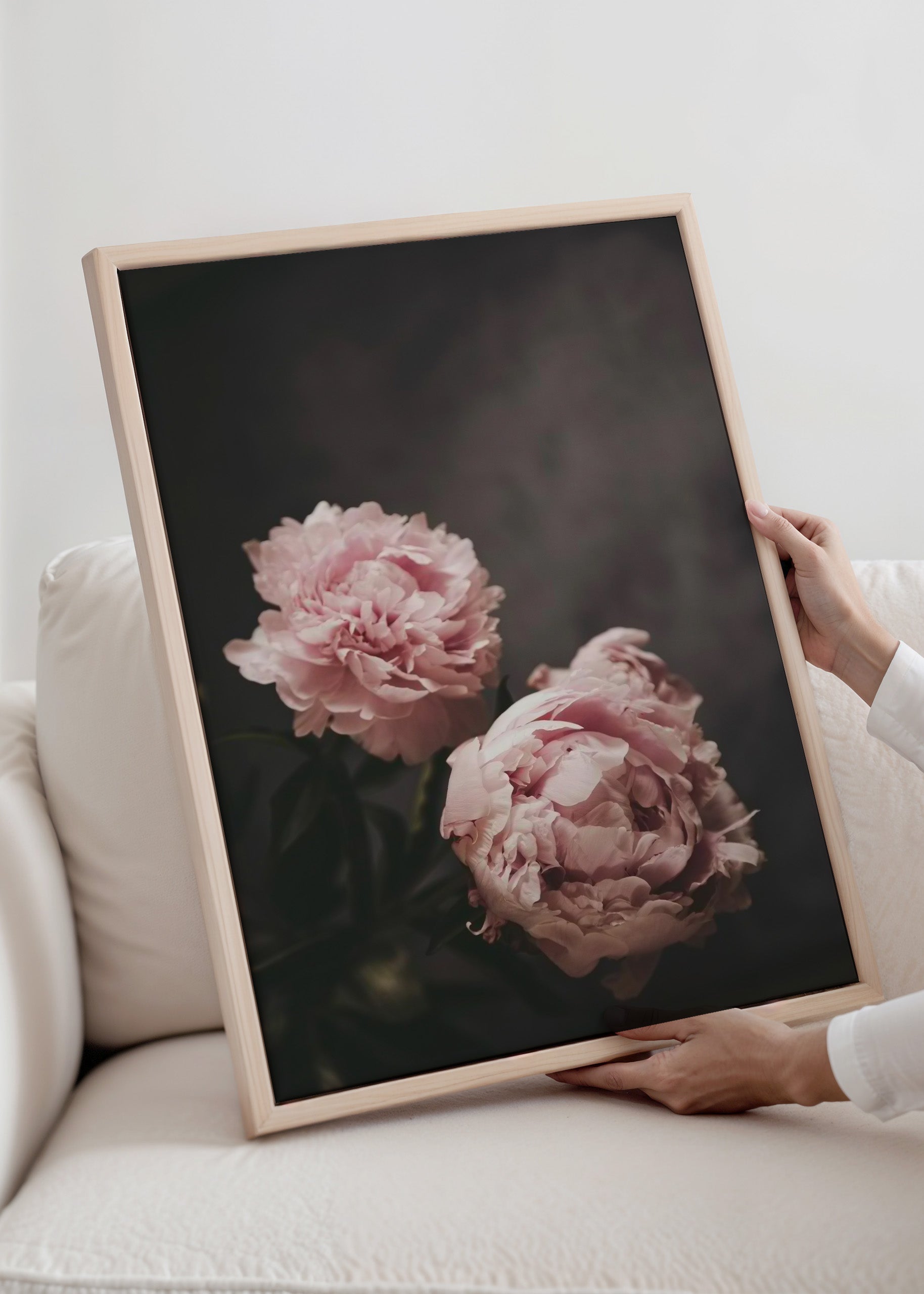 Lovely Peonies Canvas