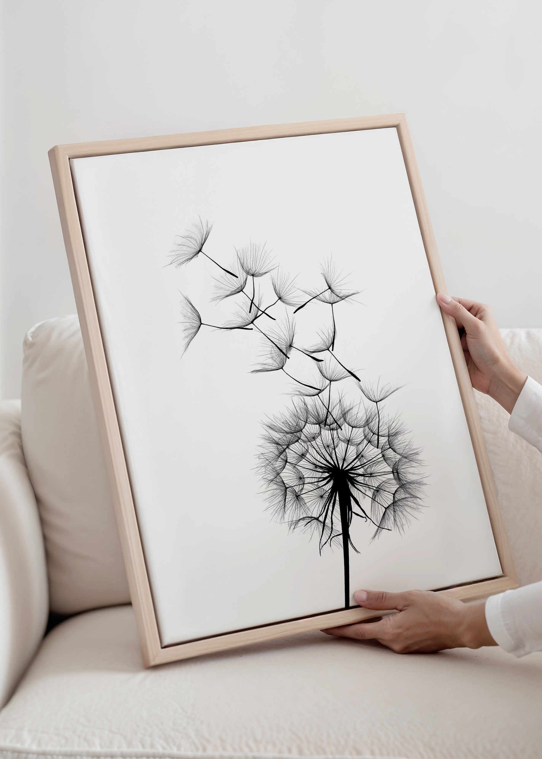 Dandelion no3 Canvas