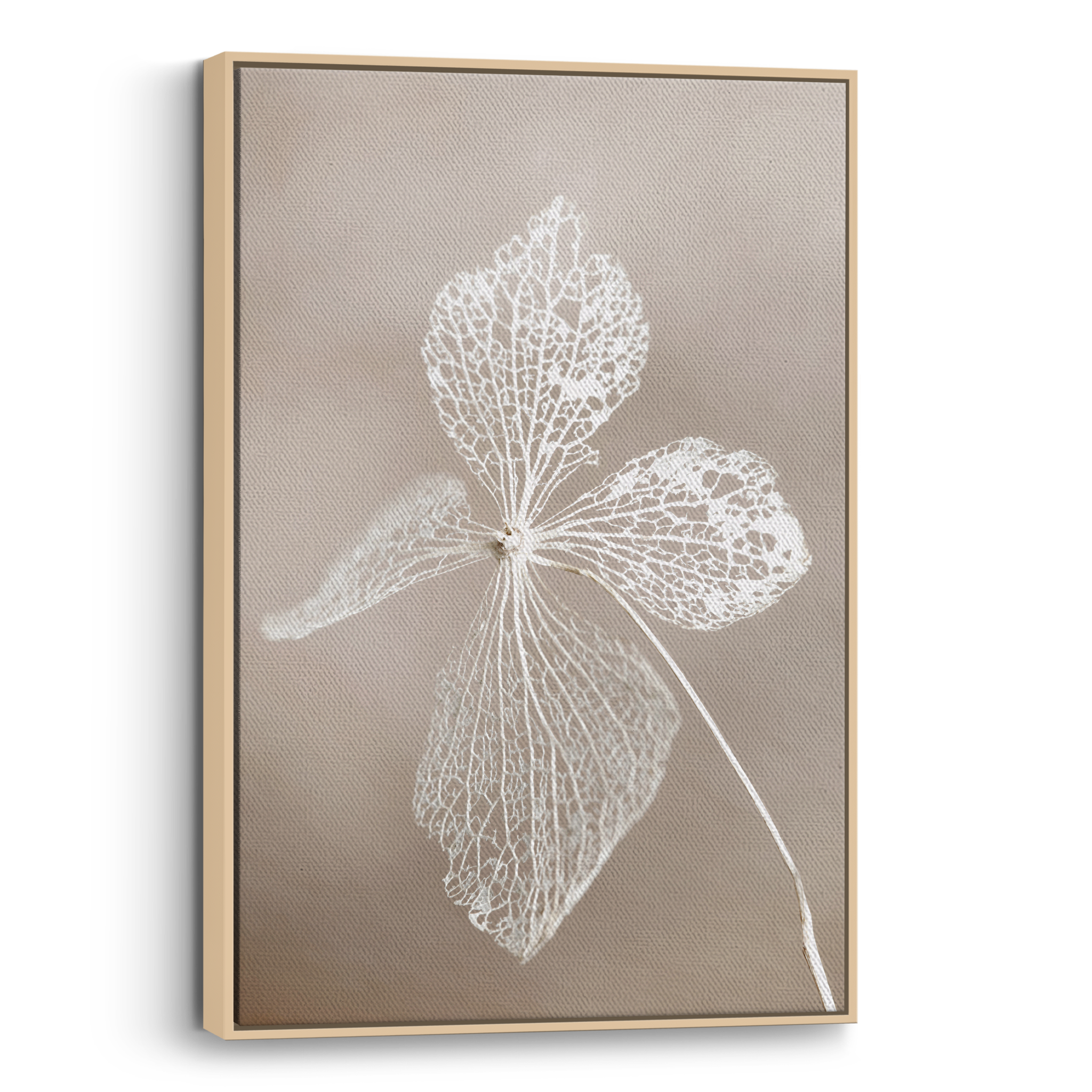 Dried Flower Canvas