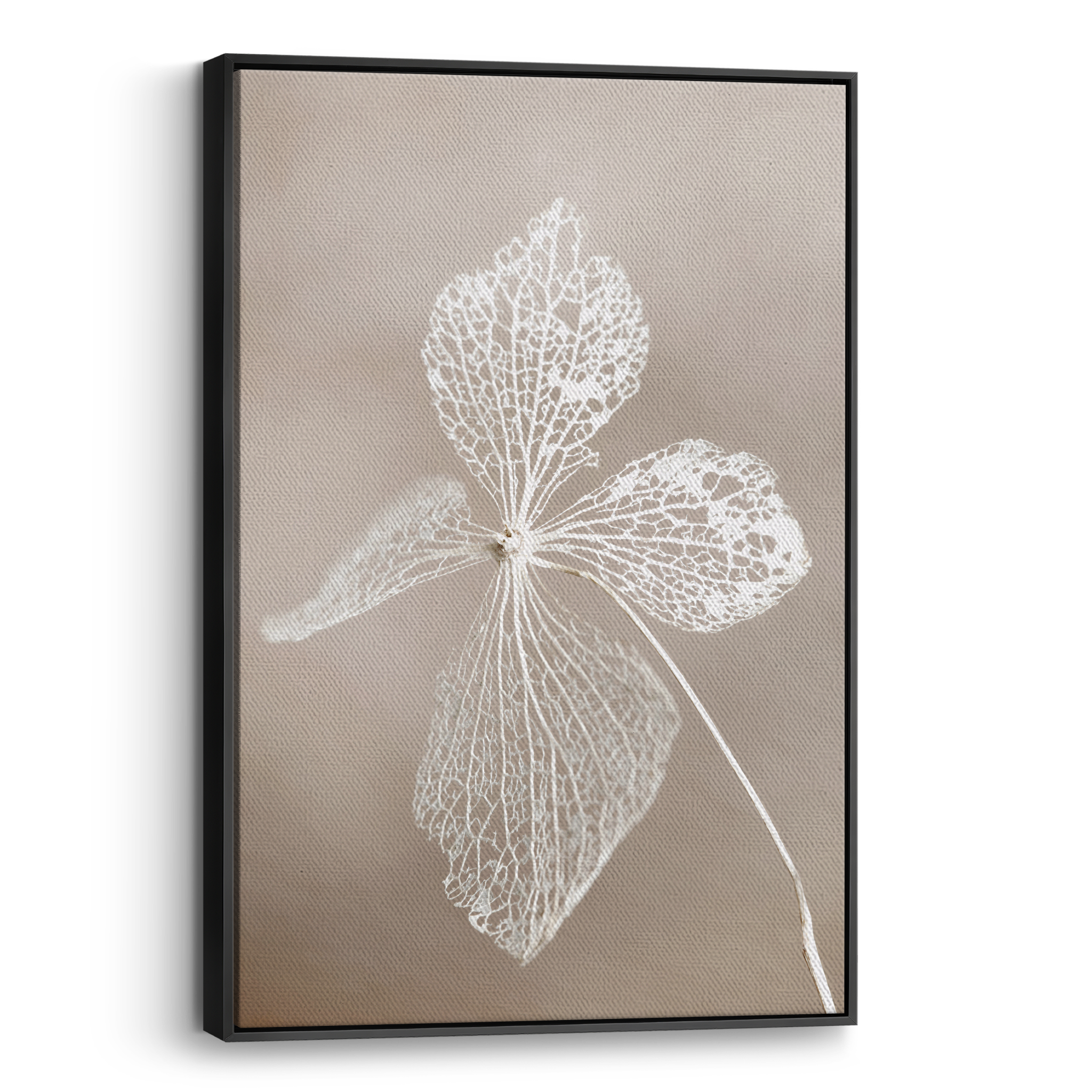 Dried Flower Canvas