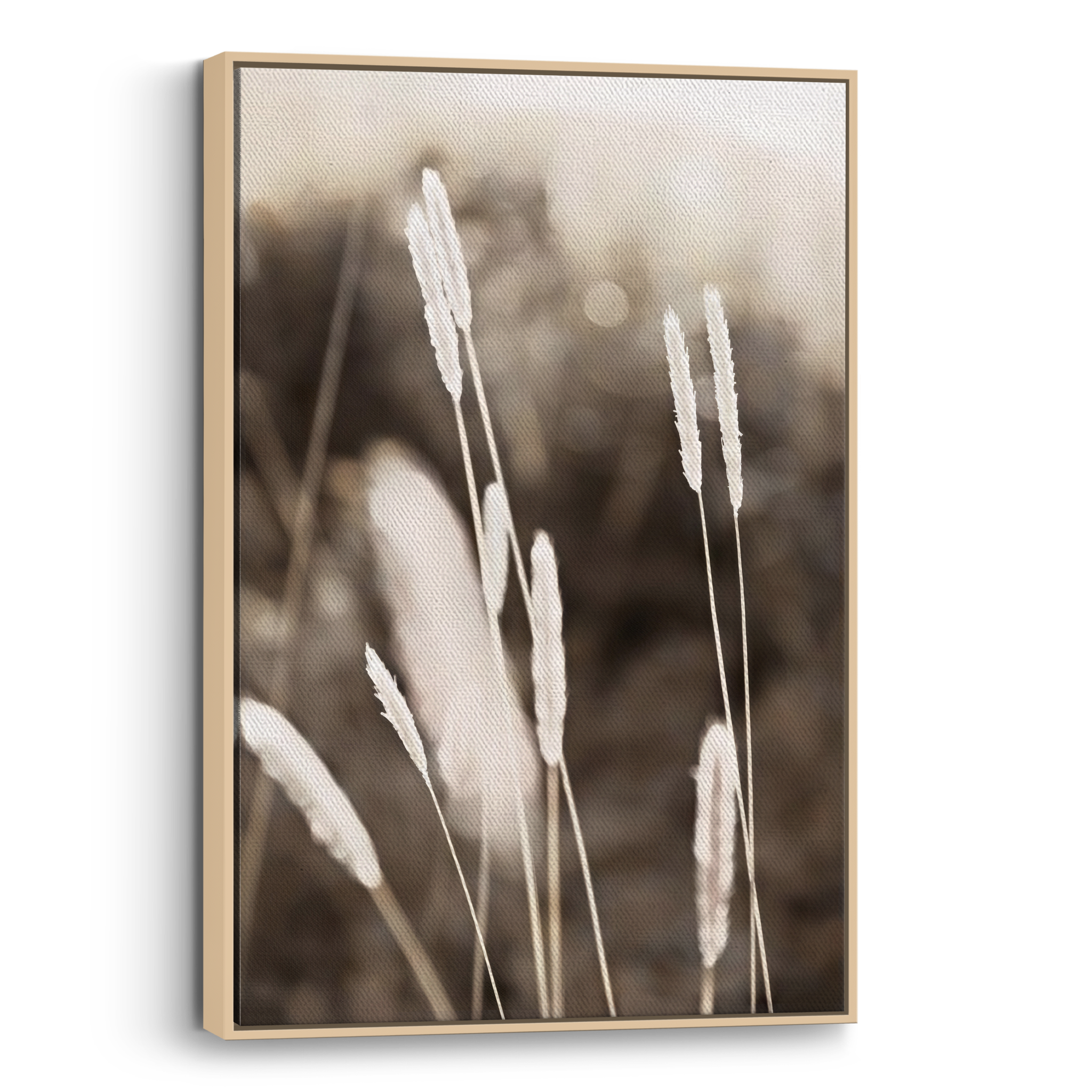 Evening Summer Field Canvas