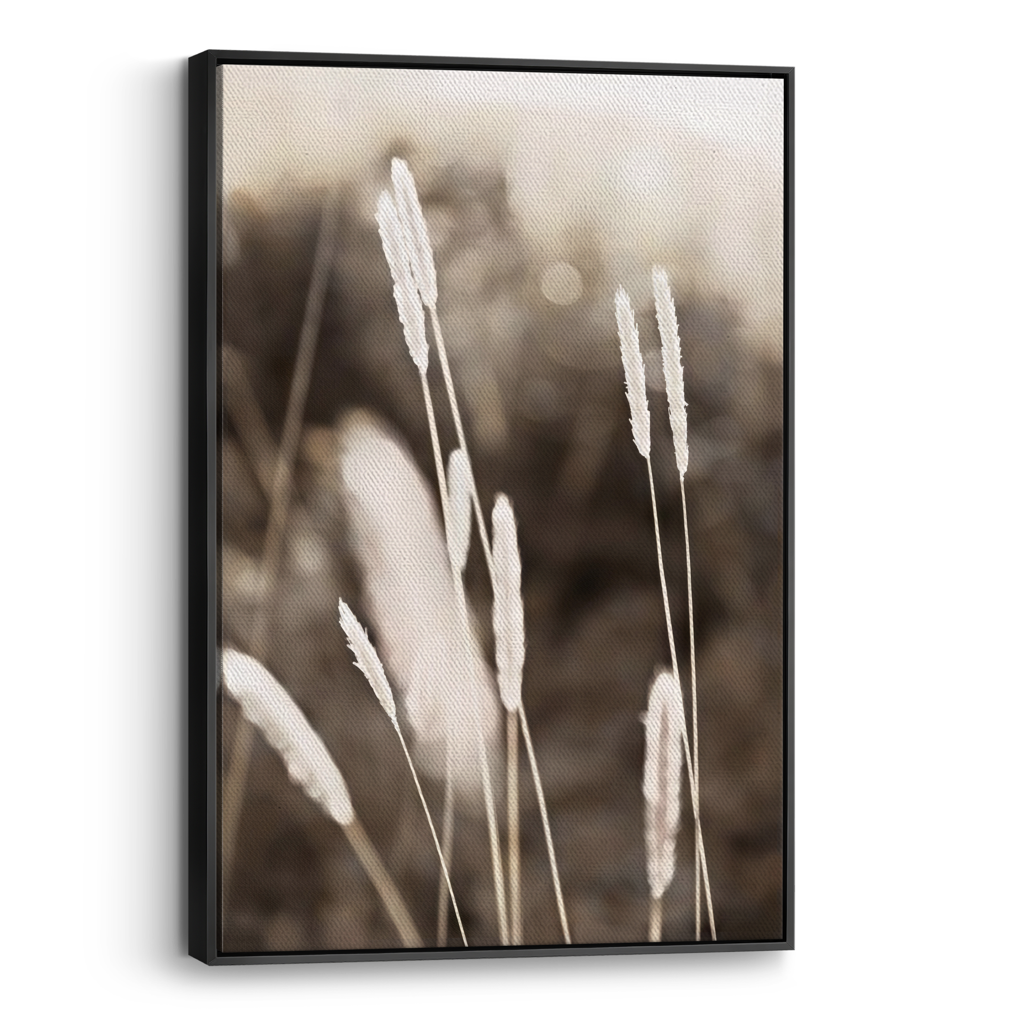 Evening Summer Field Canvas