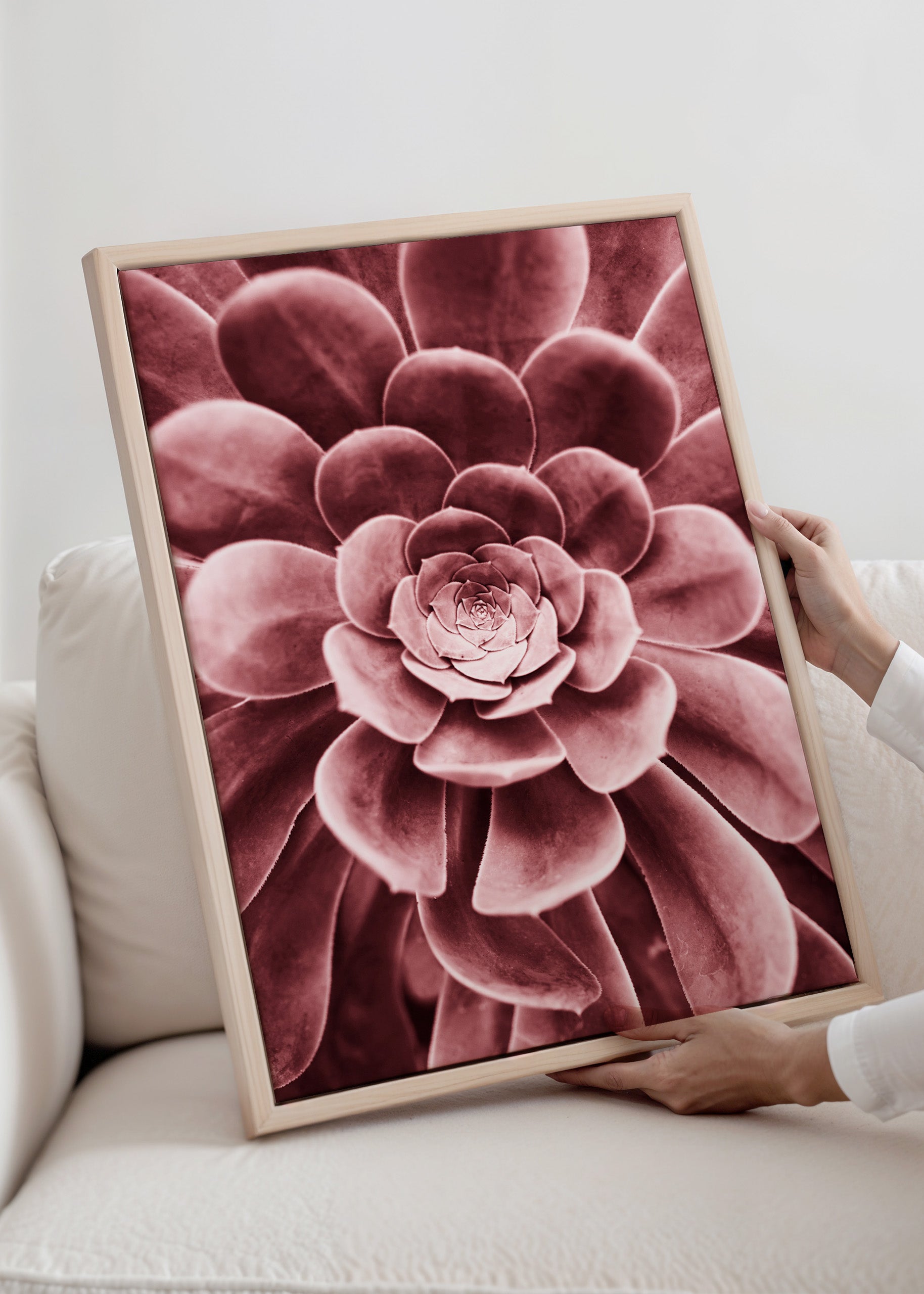 Red Succulent Canvas