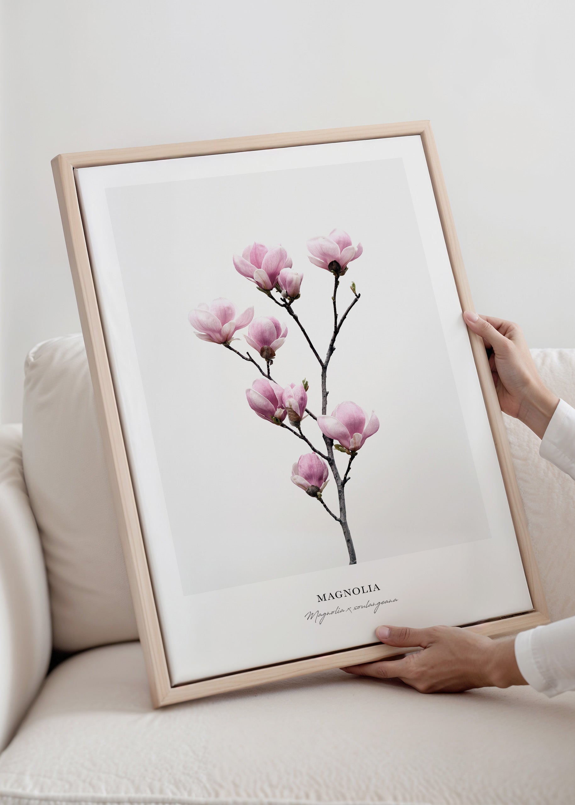 Magnolia Canvas