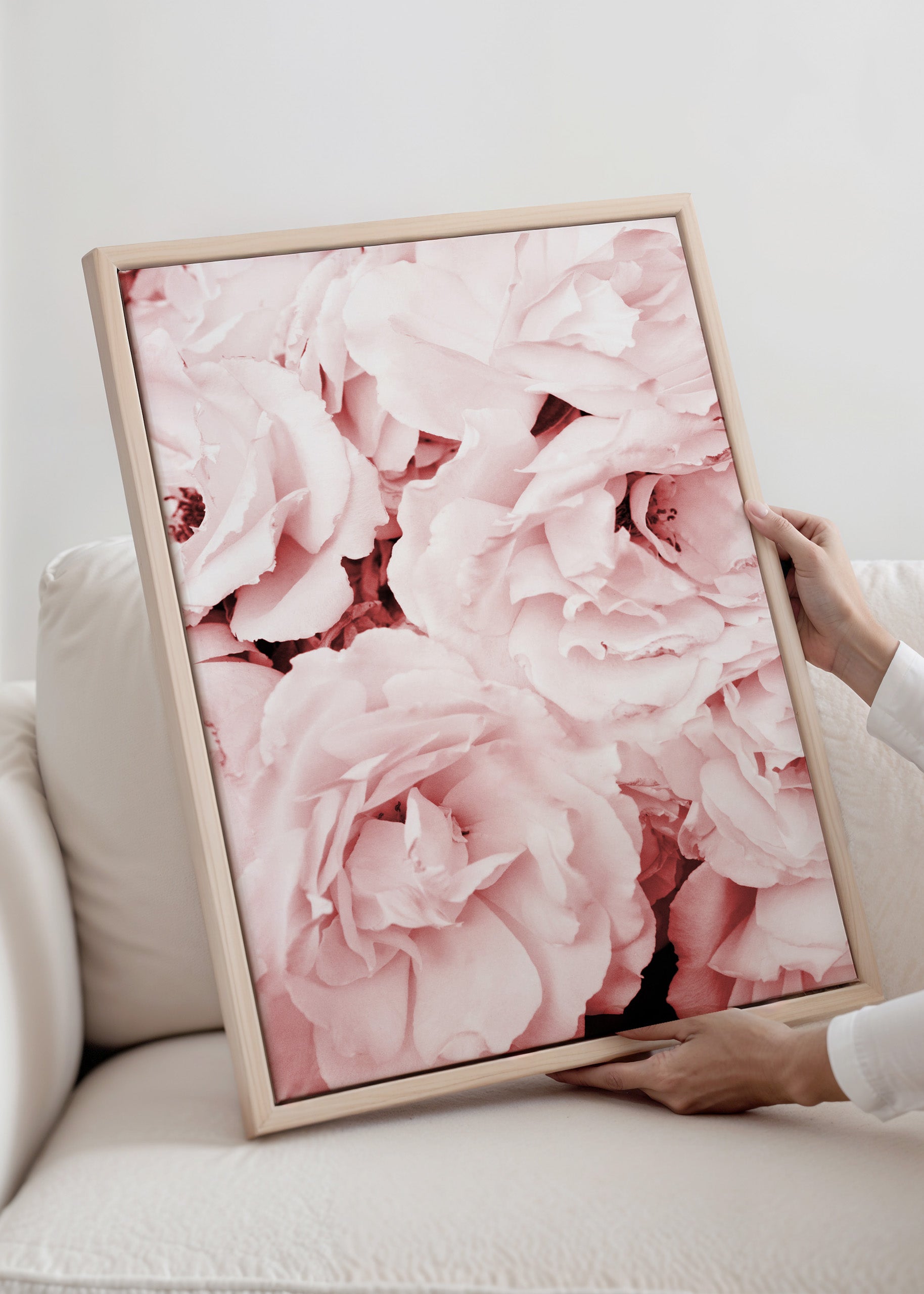 Pink Roses Canvas