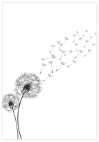 Dandelion Poster