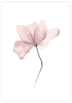 Aquarelle Flower Poster - KAMAN