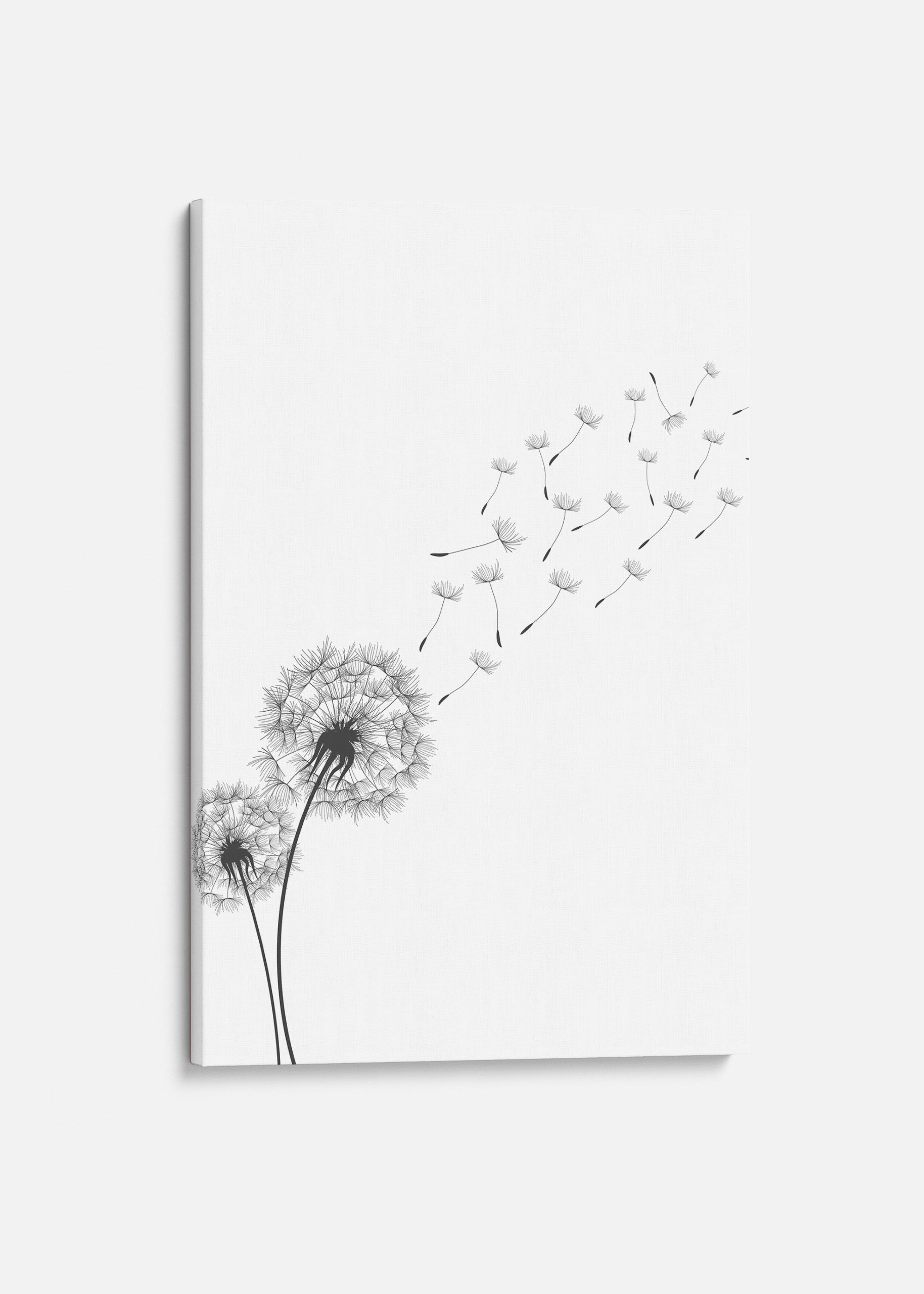 Dandelion Canvas