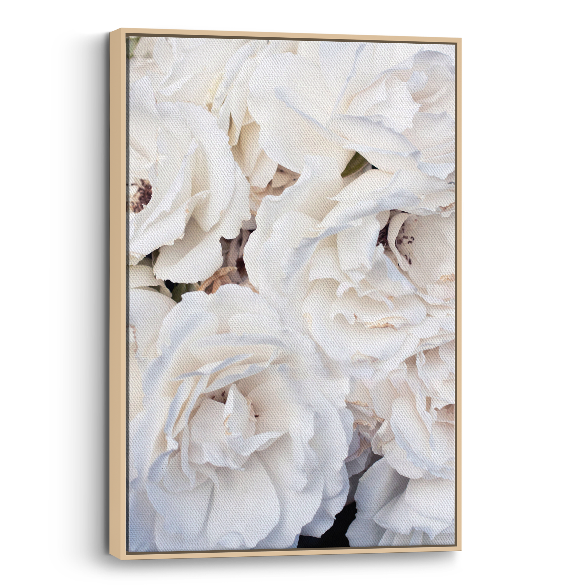 White Roses Canvas