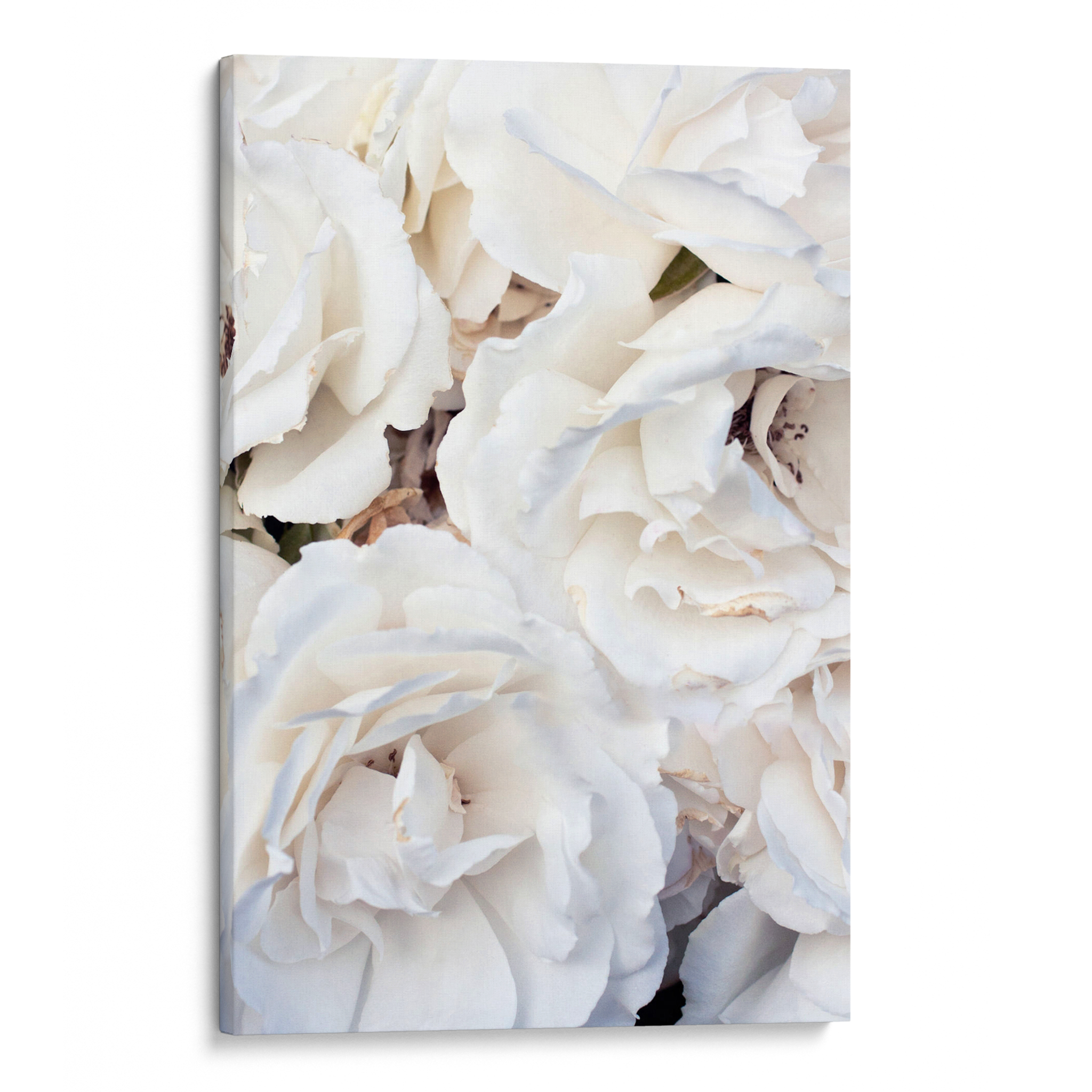 White Roses Canvas