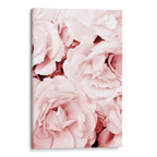 Pink Roses Canvas