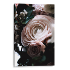 Boquet Canvas