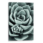 Mint Green Succulent Canvas