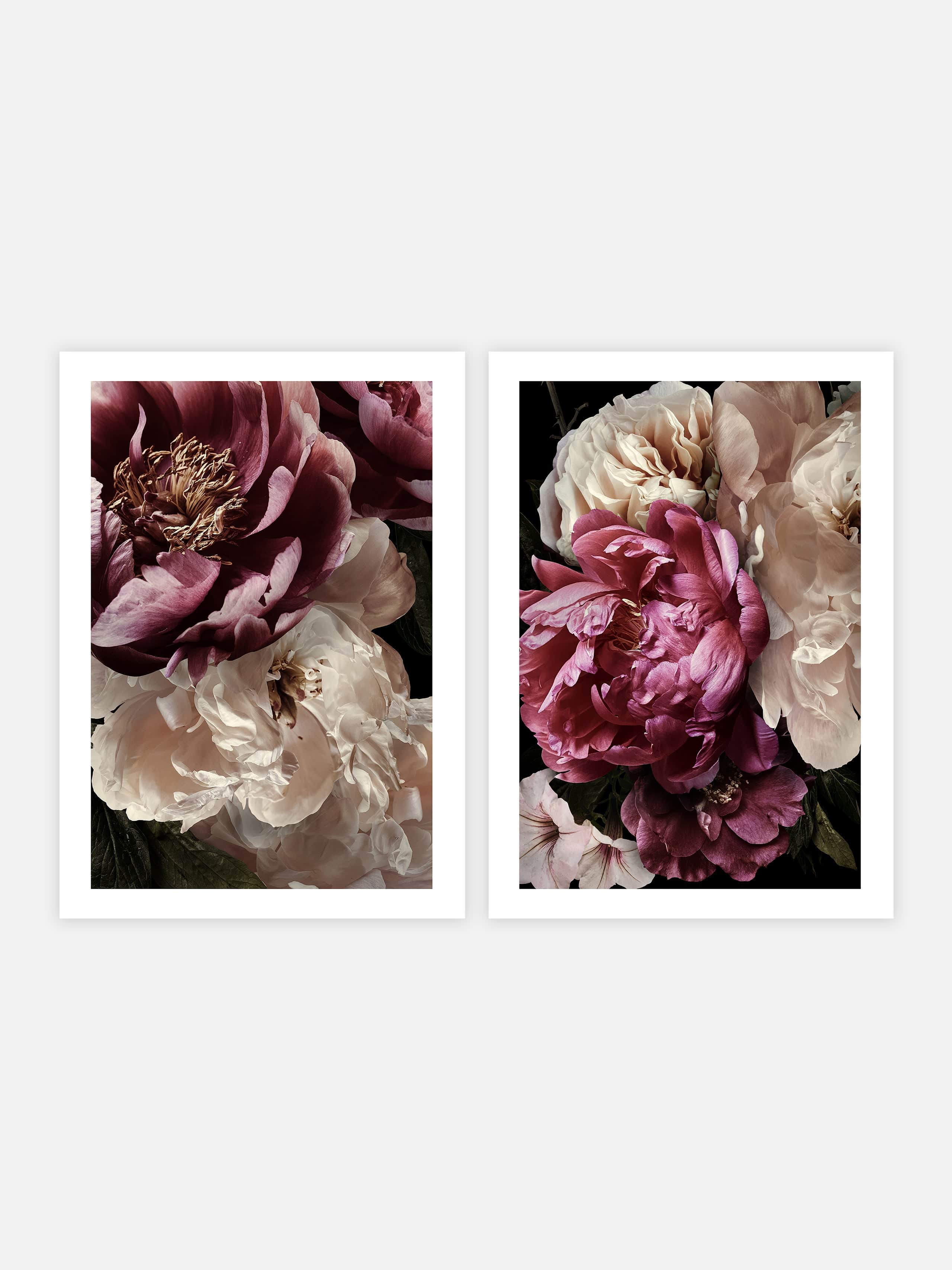 Flowers Set