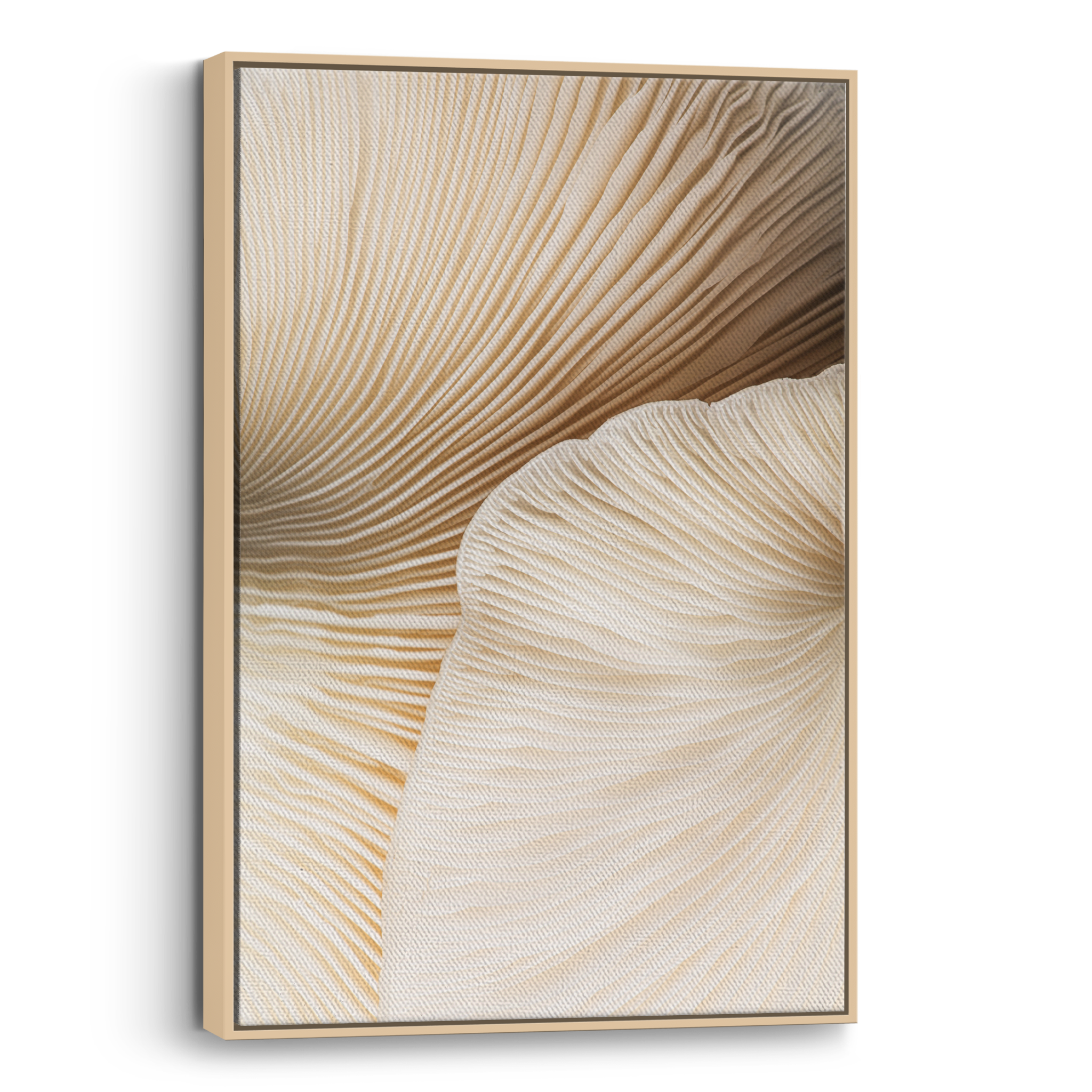 Closeup Mushroom no2 Canvas