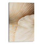 Closeup Mushroom no2 Canvas