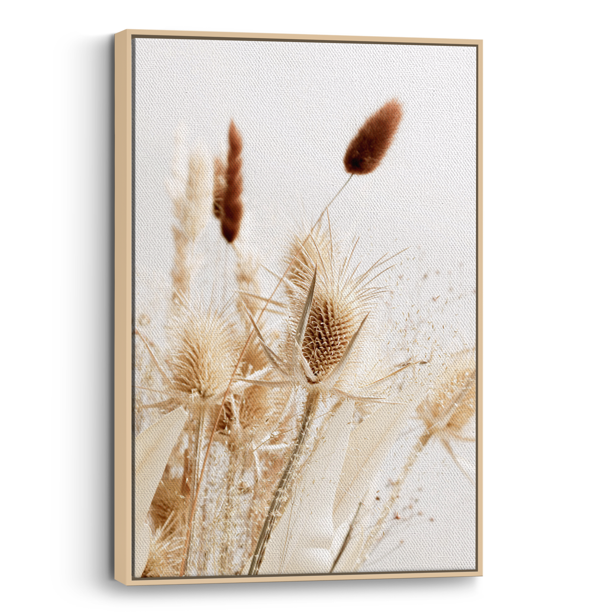 Dried Grass no2 Canvas