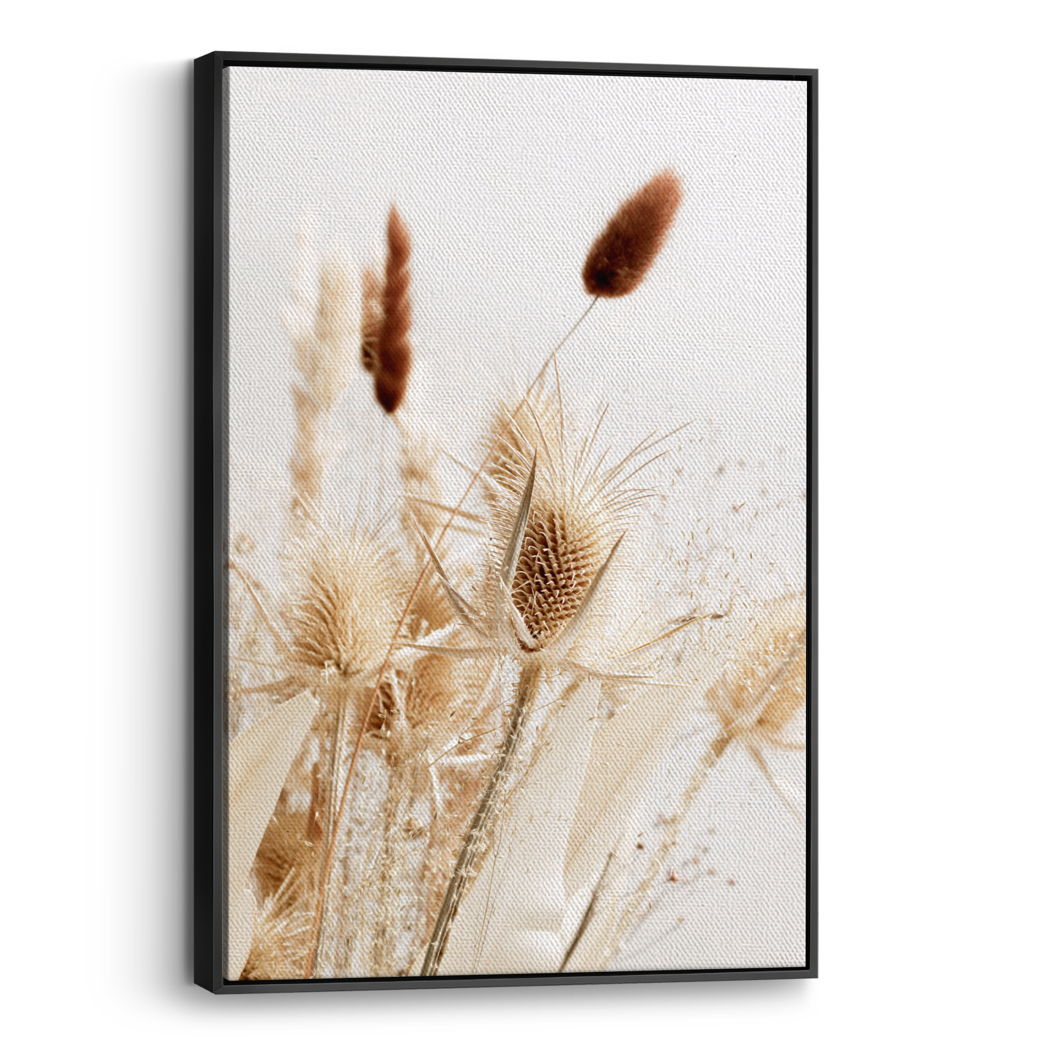 Dried Grass no2 Canvas
