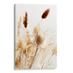 Dried Grass no2 Canvas