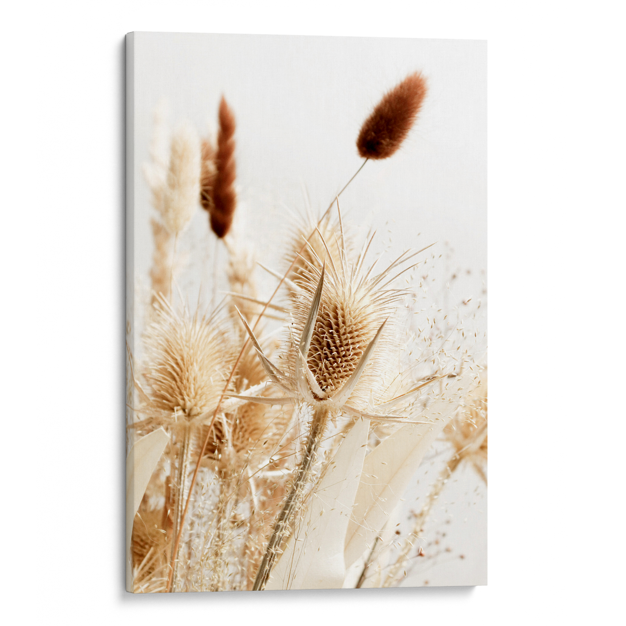 Dried Grass no2 Canvas