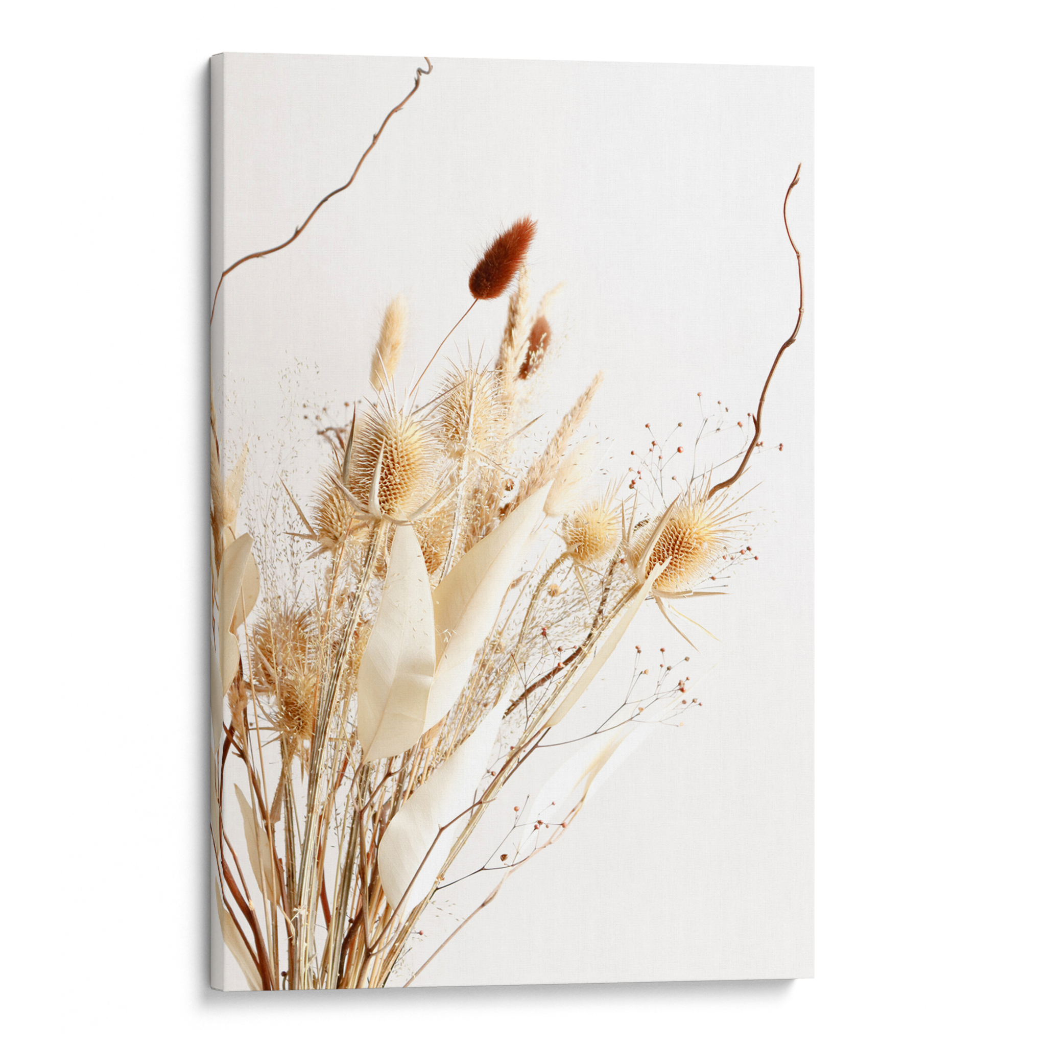 Dried Grass Canvas