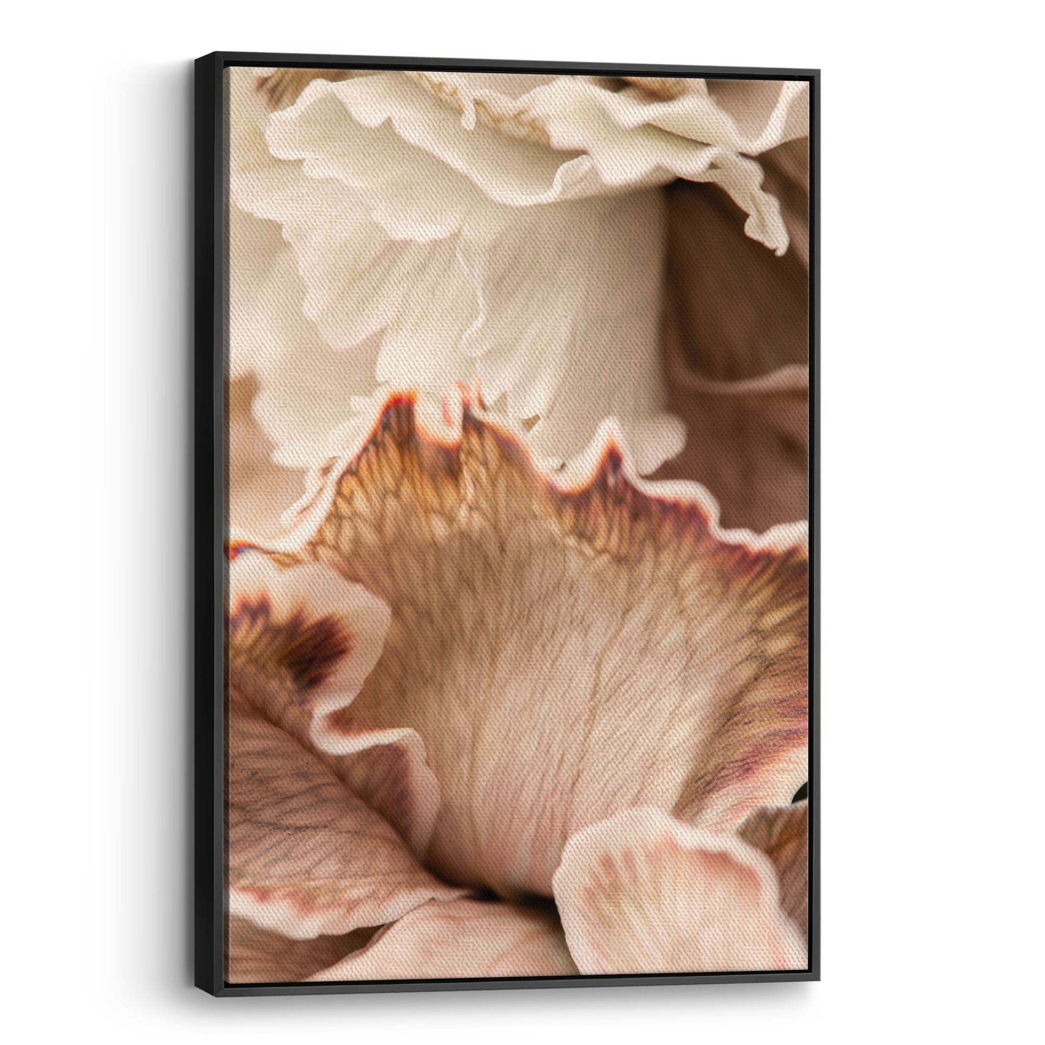 Beige Petals Canvas