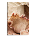Beige Petals Canvas
