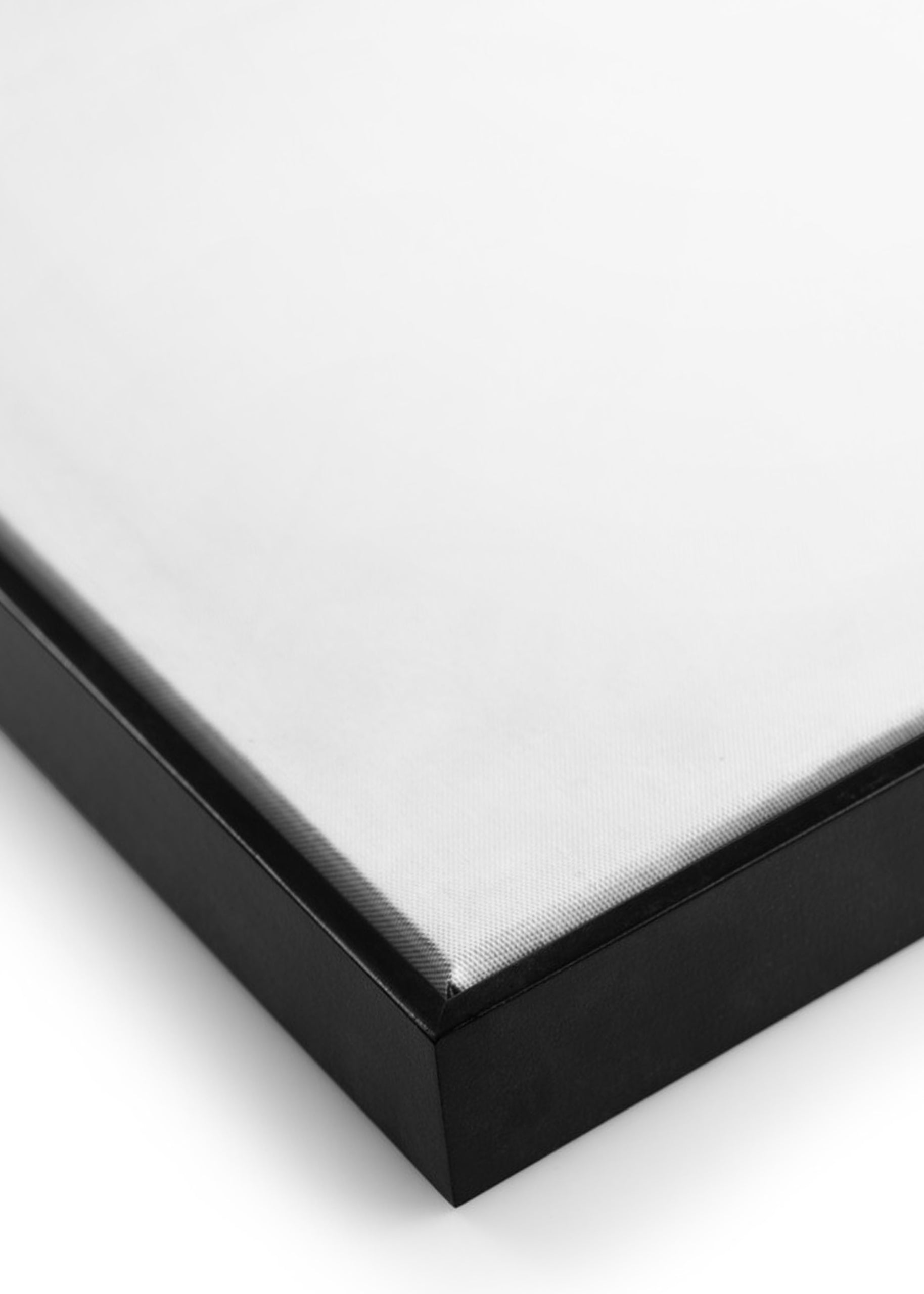 Mint Green Succulent Canvas