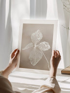 Dried Flower Poster