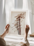 Dried Flowers Poster