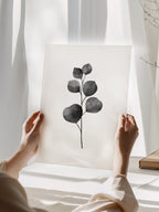Eucalyptus Plants Poster