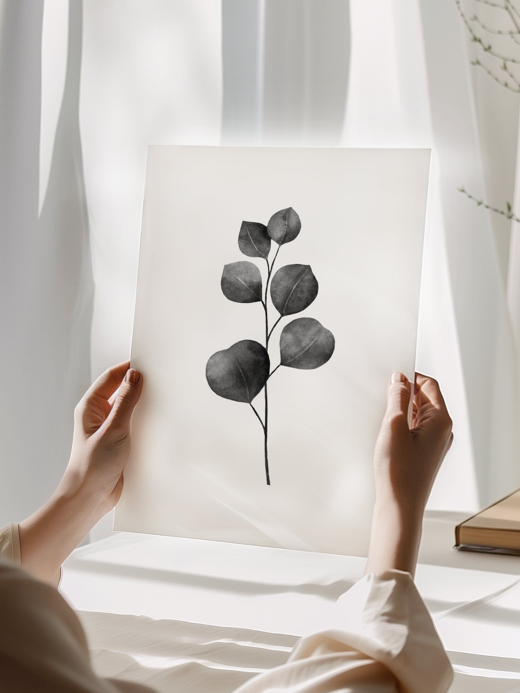 Eucalyptus Plants Poster