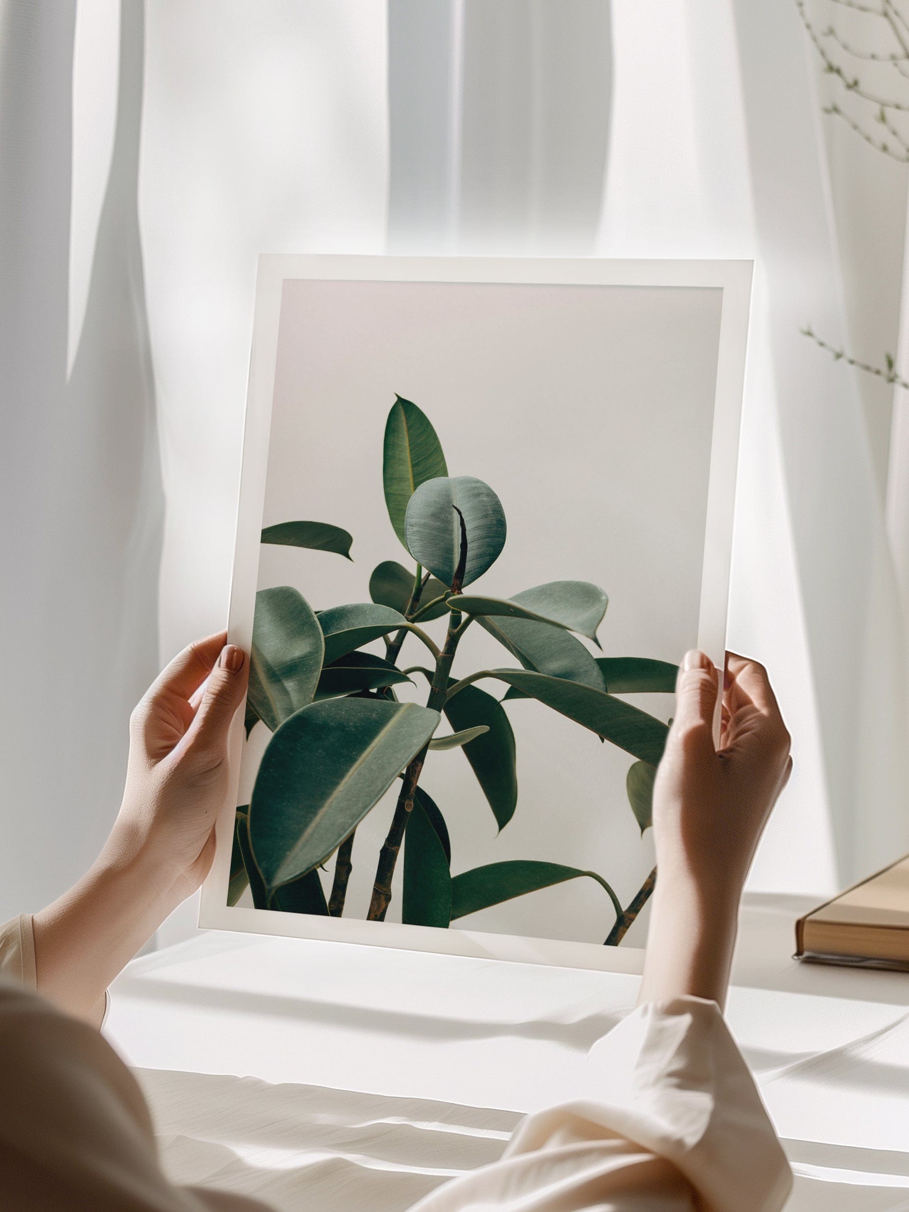 Rubber Plant Poster