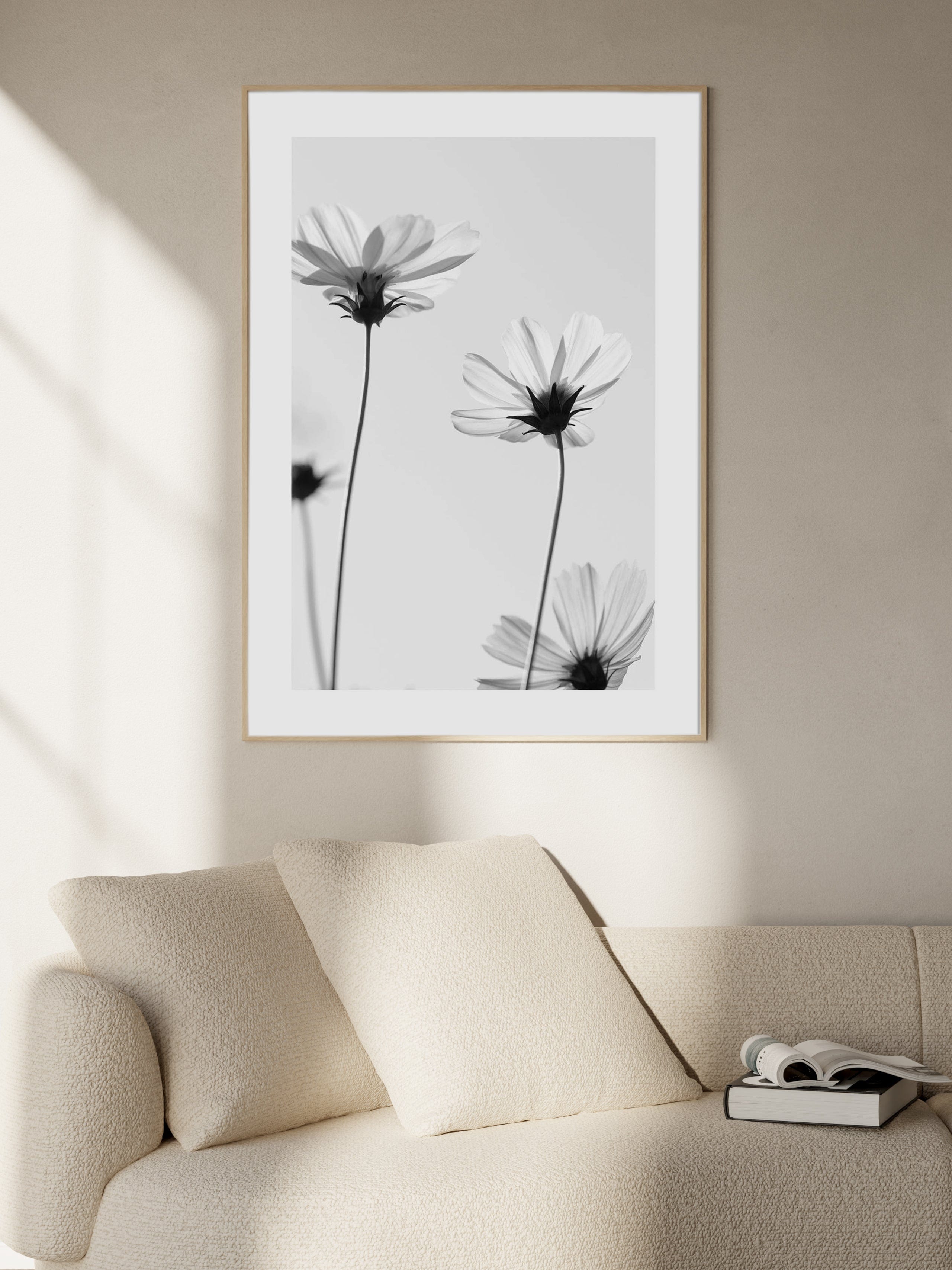 White Cosmos Poster