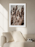 Reed Grass Poster