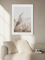 Reed no2 Poster