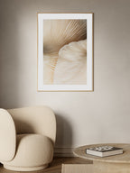 Closeup Mushroom no2 Poster
