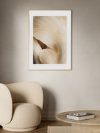 Closeup Mushroom Poster