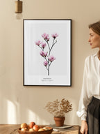 Magnolia Poster