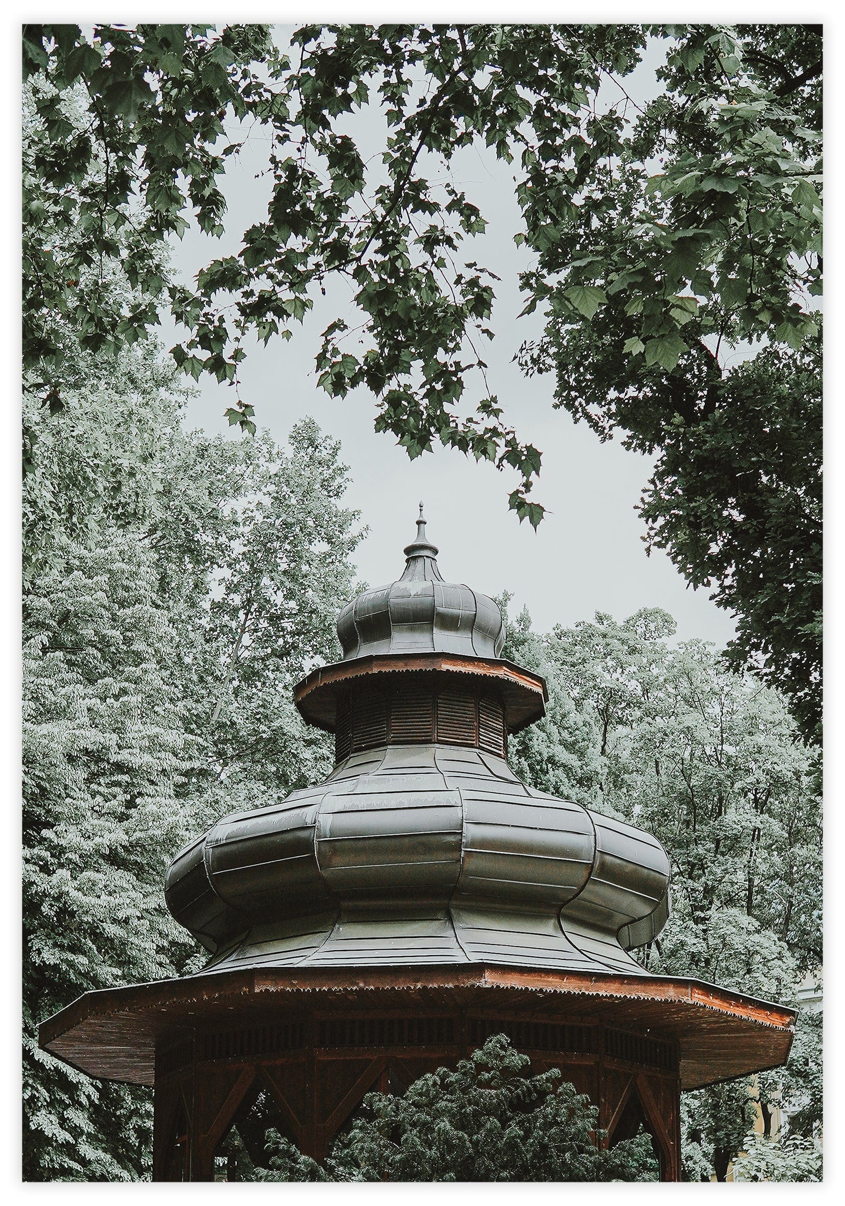 Forest Cottage Poster
