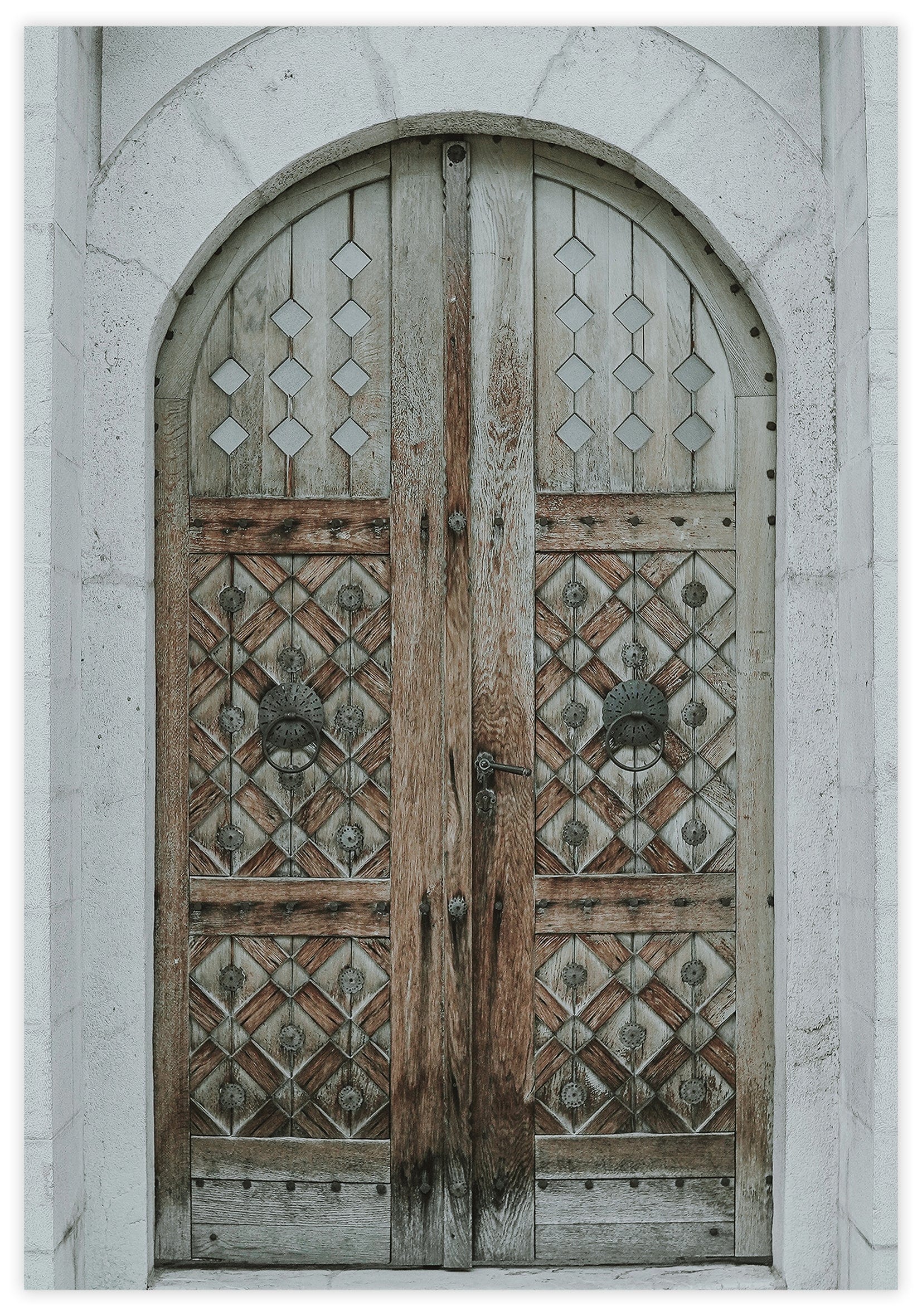 Brown Door Poster