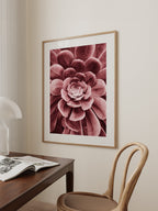 Red Succulent Poster