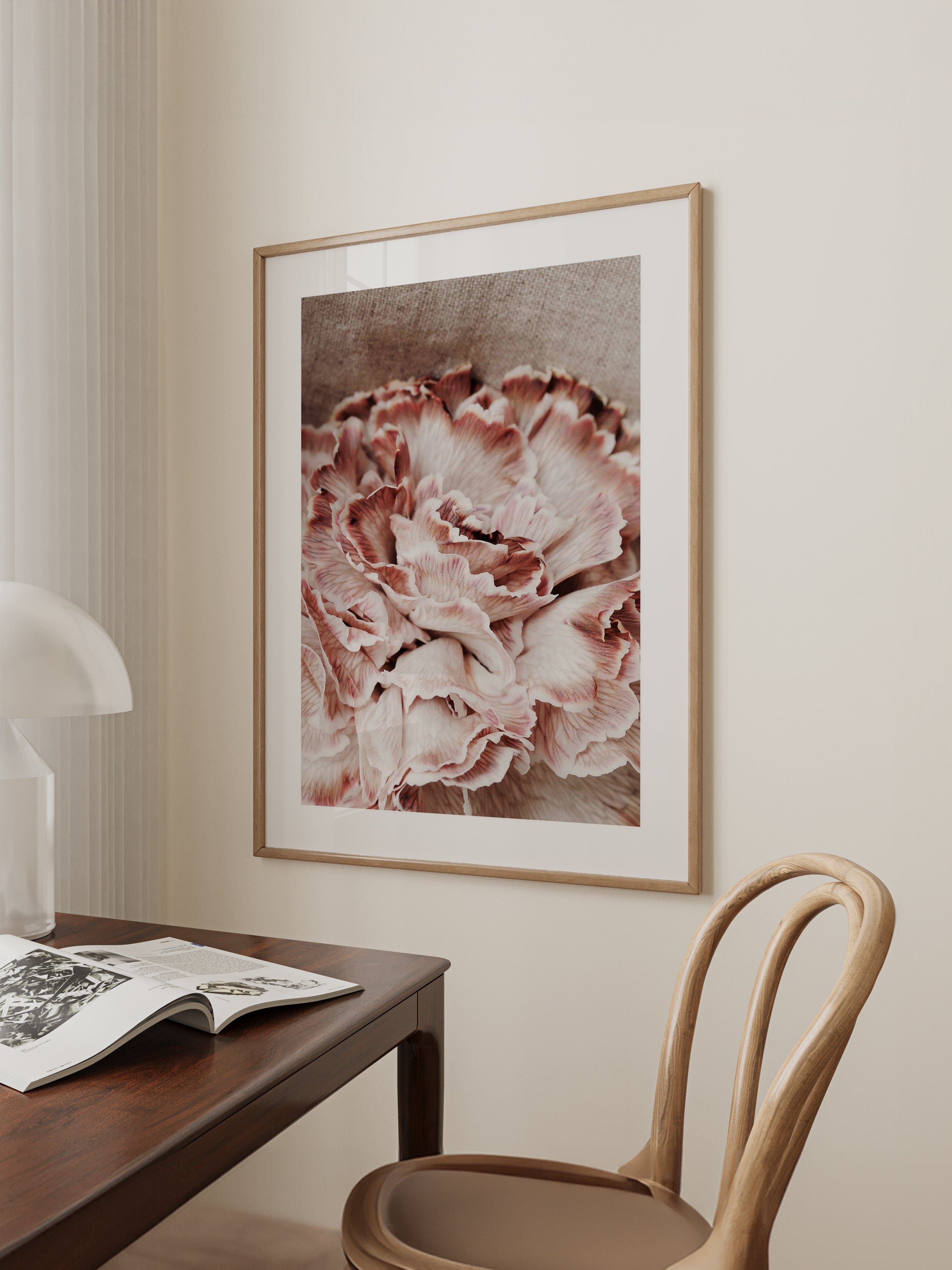 Closeup Rose Poster